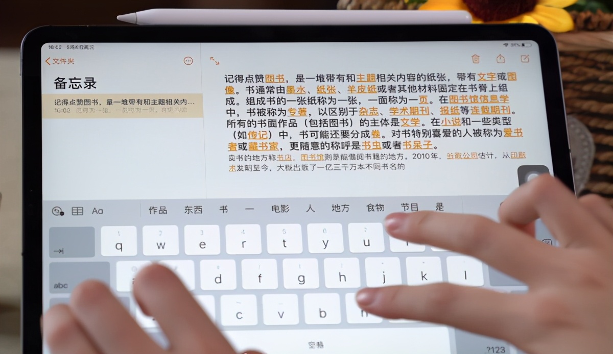 功能最全的ipad,ipad超强大软件