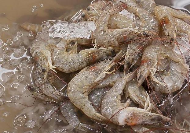 吃剩的白灼虾第二顿能够用水煮嘛,白灼虾最忌用水煮老渔民教我一招