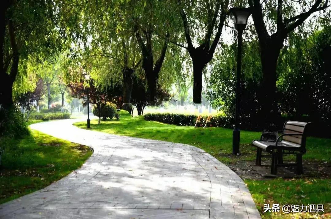 全国文明县城泗县,2024年泗县评上文明城市了吗