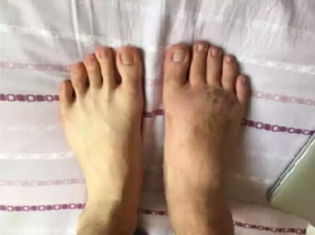 硬核玩家完全,硬核玩家完全版