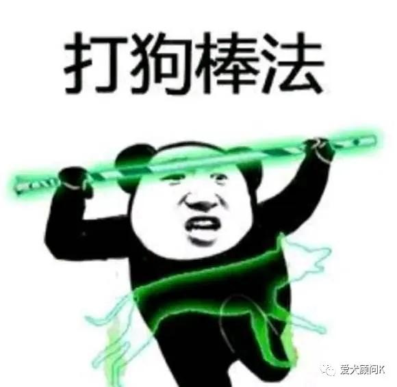 狗狗太胆小甚至怕主人,打了狗狗一次狗狗怕主人怎么办