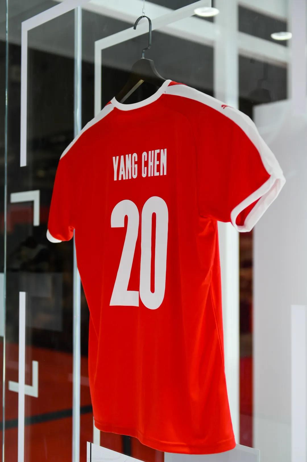 杨晨聊中国足球,杨晨谈国足