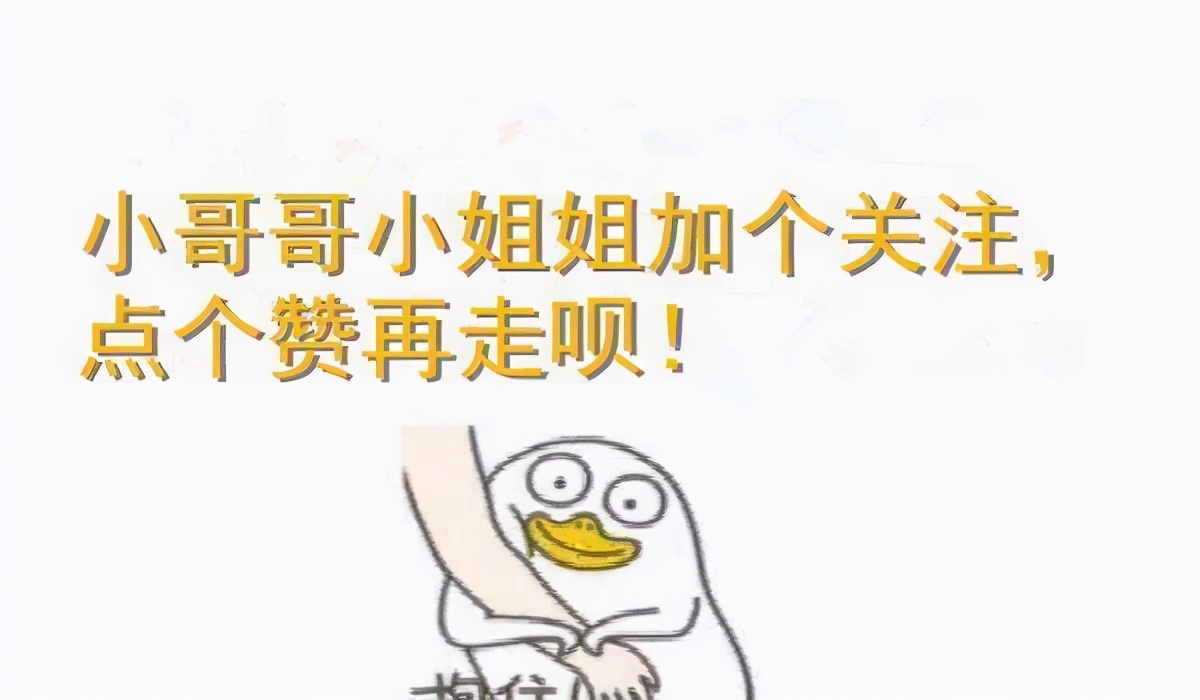 这几类猫会带来好运,对主人忠诚的五种猫