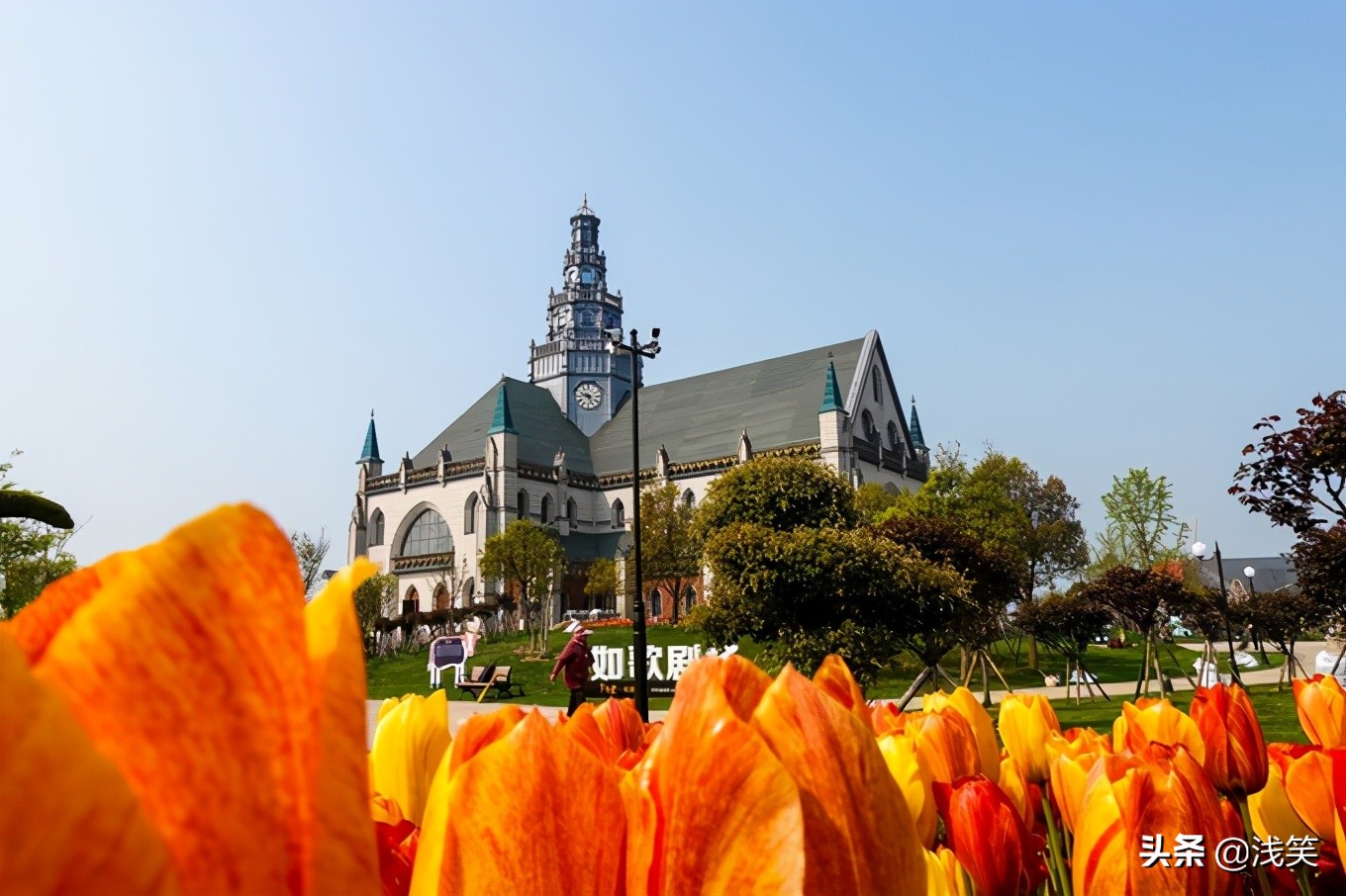 芬芳之人方能遇到芬芳之心，郁金香开成了荷兰花海