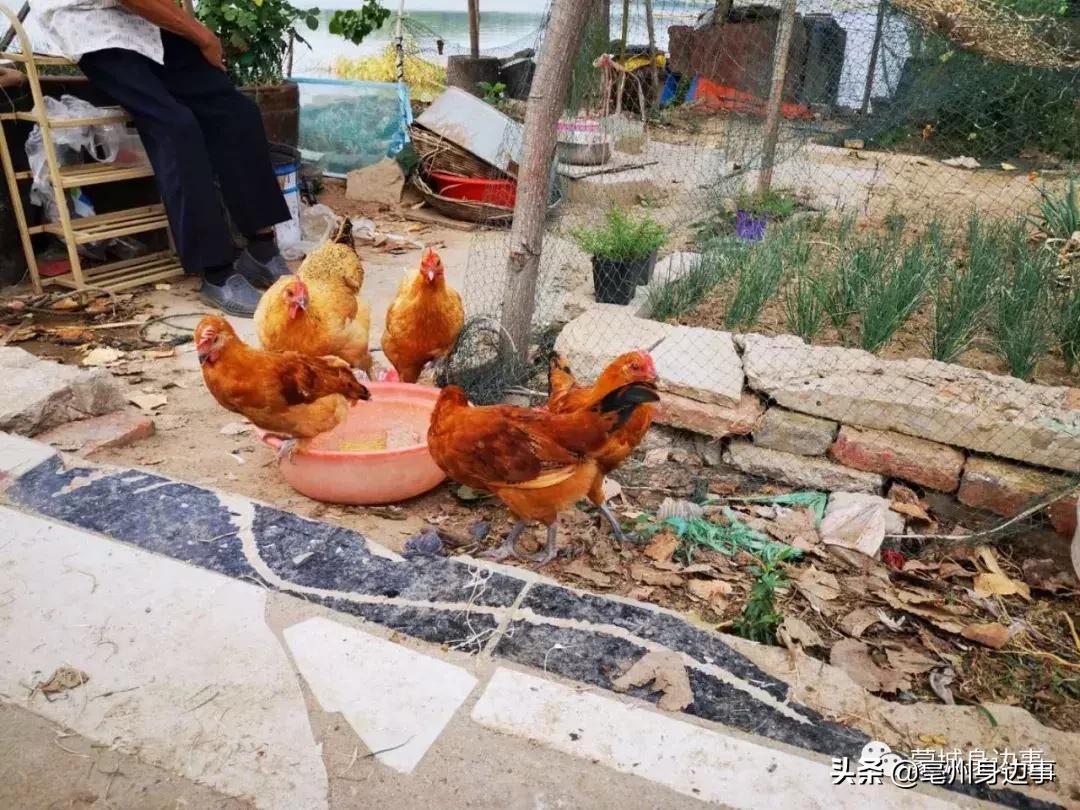 蒙城：一船一家一辈子！他们吃住都在船上