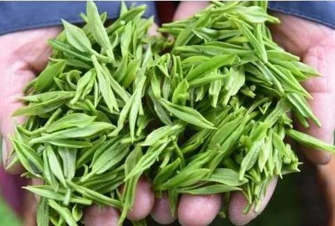 公司购买茶叶做账时入什么费用,企业购买茶叶怎么列支