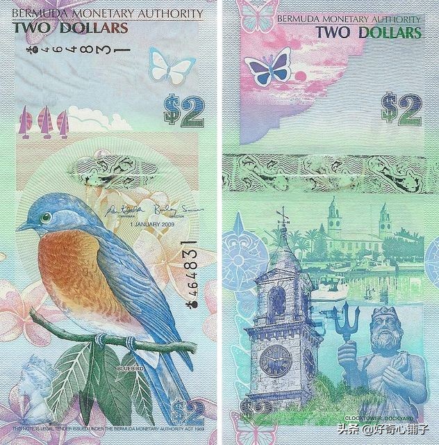 全球值得收藏的纸币,世界各国前五大超有趣纸币