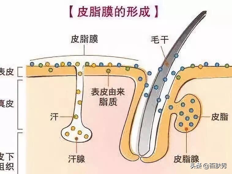 别再被所谓外油内干肤质忽悠了,合适外油内干肤质的温和护肤品