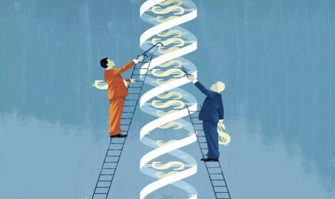 全球首例基因编辑猪心移植到人体,世界首例基因编辑技术治疗肺癌