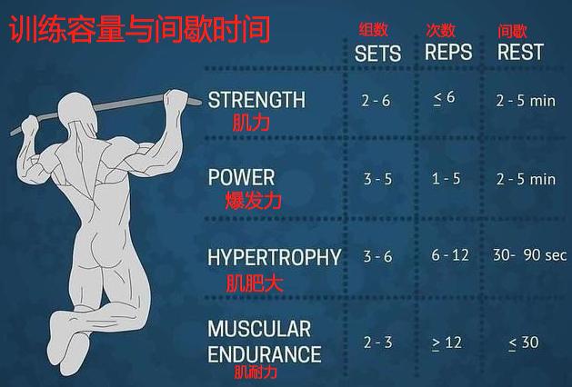 两块肌肉是交替训练还是集中训练,两组动作之间休息多久