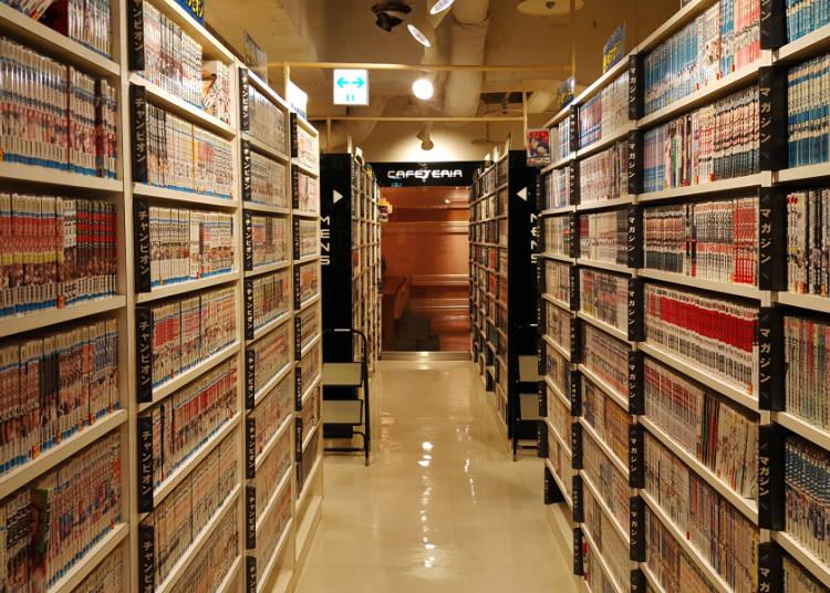 日本留学去哪里玩比较好,日本留学生旅游