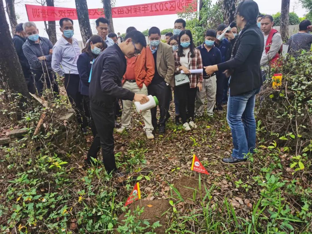 南沙｜@东涌街坊，行家建议，红火蚁得这样治