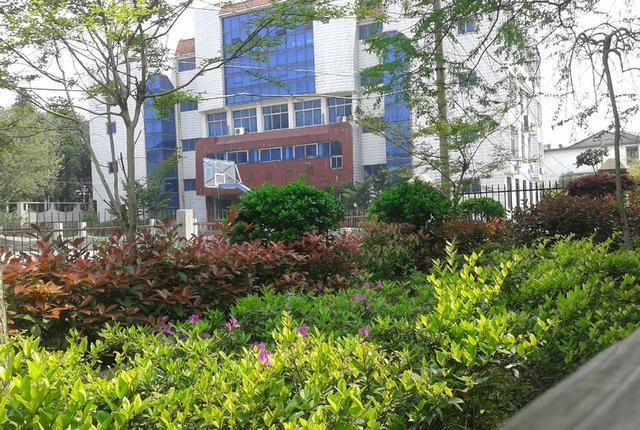 抚州哪几所中学实力较强,江西省抚州高中排名前十强