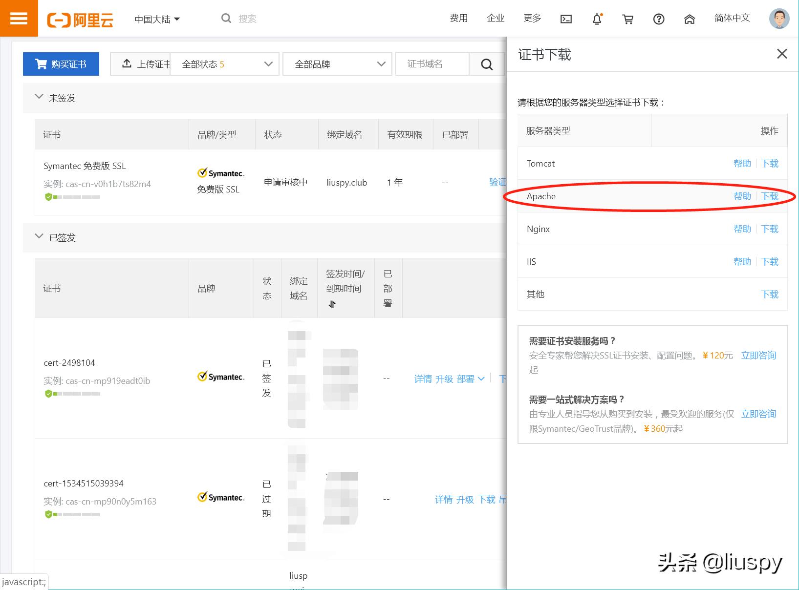 抛砖引玉自投罗网,小白如何搭建网站教程视频
