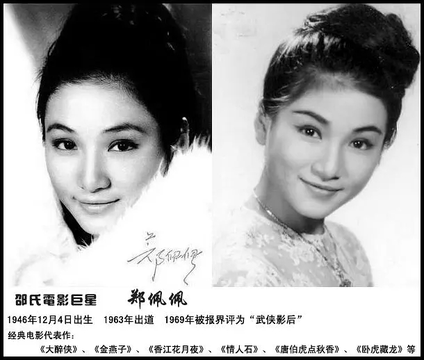 亦舒流金岁月人物关系,亦舒流金岁月小说男主角