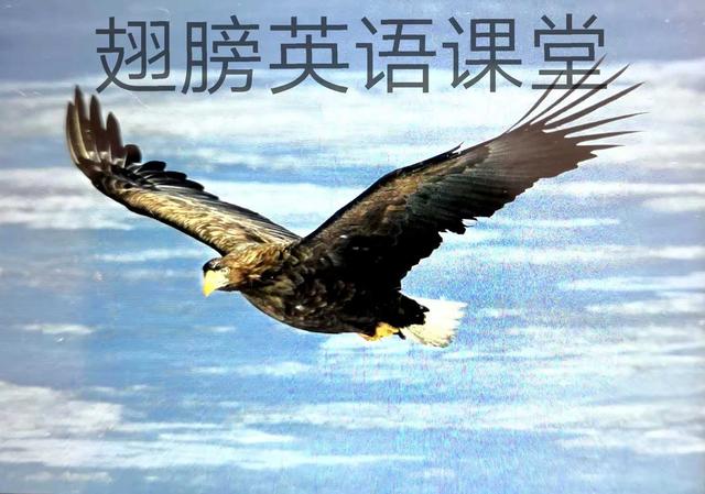特殊疑问句到一般疑问句里找答案,特殊疑问句学习视频