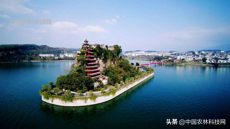 江上琼阁石宝寨！一县一品公益助农，重庆忠县农特产品柑橘