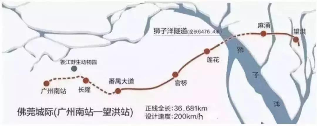 粤港澳大湾区滨海湾新区,粤港澳大湾区建设与发展
