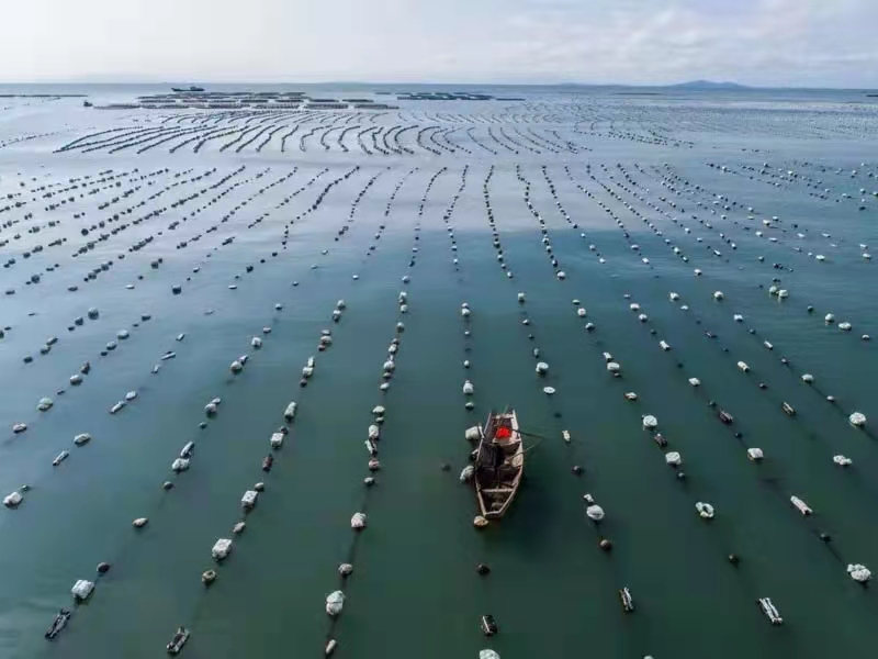 蓝色经济史话,蓝色经济的告捷案例