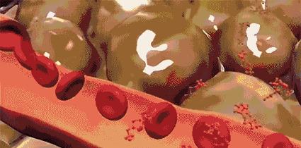 吴昕你怎么这么好看分析,吴昕剪短发后的样子