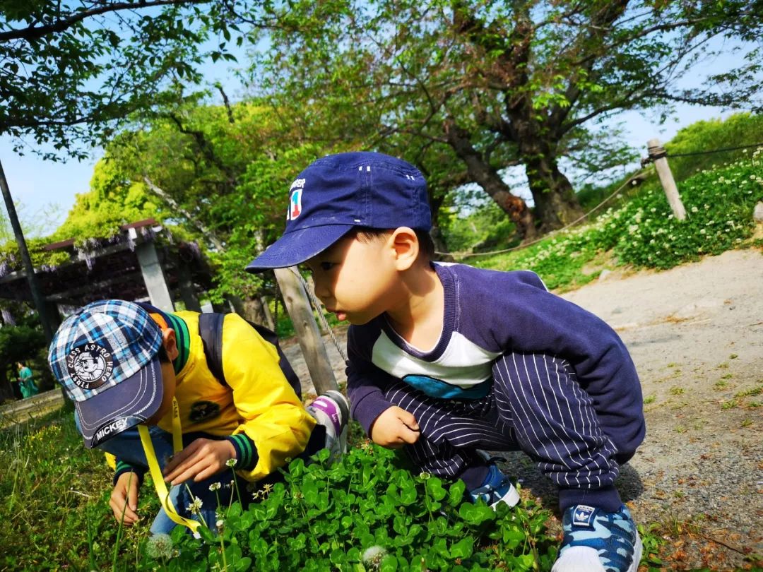 5岁小孩被红火蚁咬,小孩被红火蚁咬了吃啥药