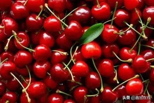 孟津五一有什么能够采摘的果蔬,洛阳孟津五一采摘园推荐