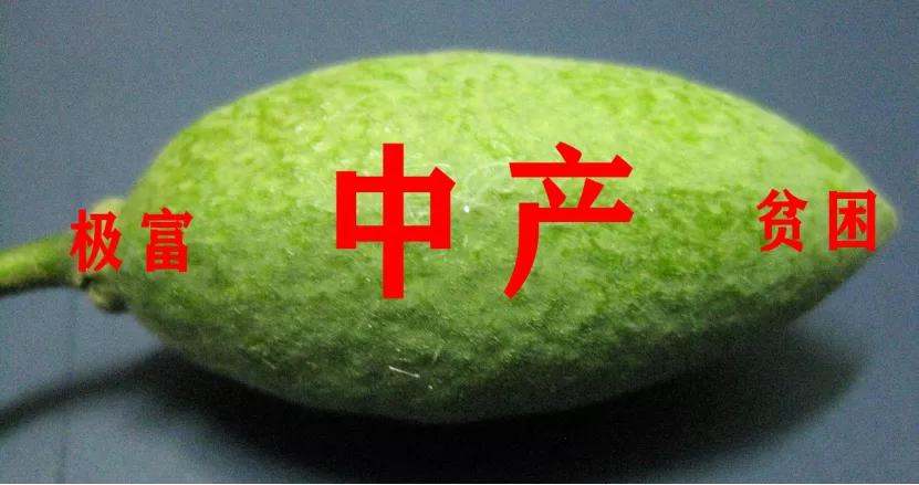 泡泡玛特溢价吗,泡泡玛特抽签有利润吗