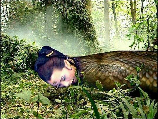 西游记里的十大女妖精图文,西游记十大女妖怪