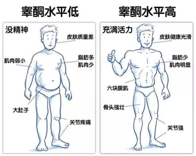 健身补剂之促睾类产品,促睾健身补剂真的有用吗
