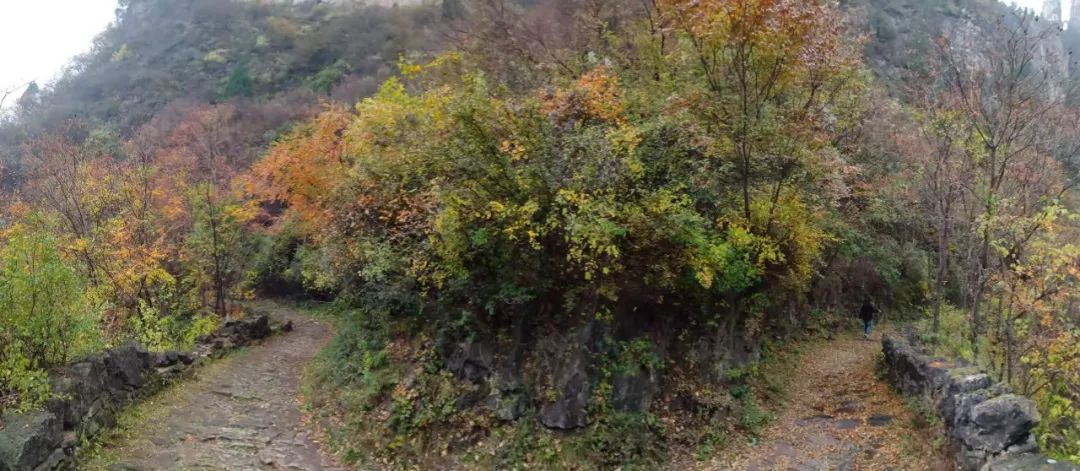 秋香四溢的白陉古道，诗意正浓