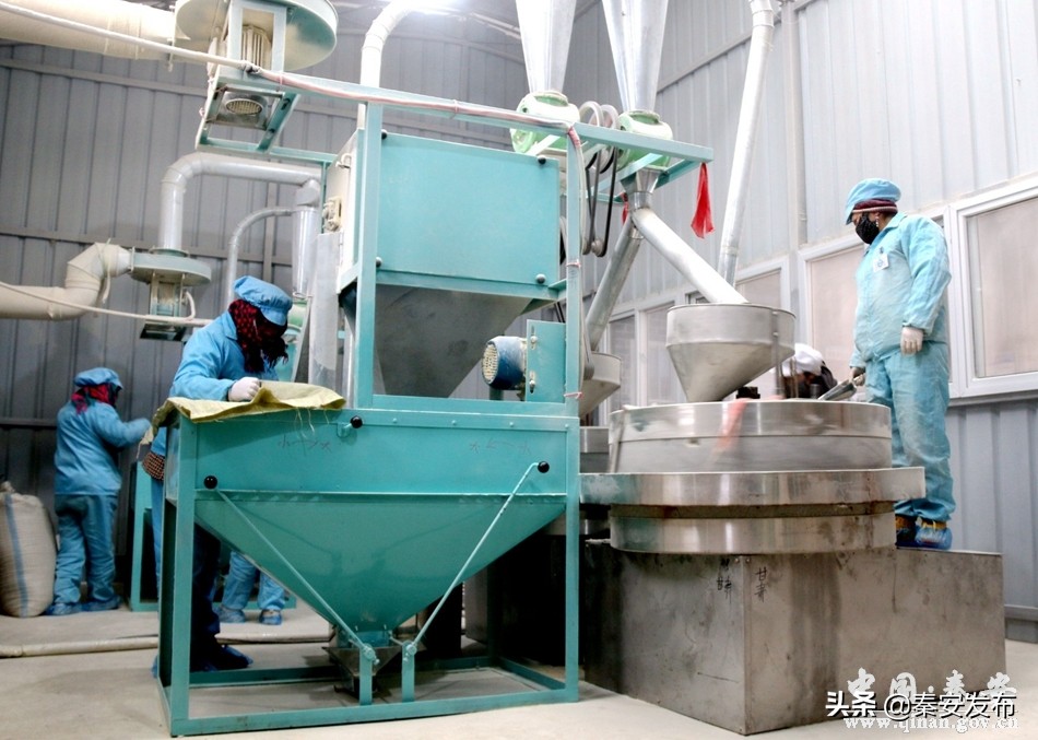 致富新项目快速盈利方法,赚钱新模式创业项目