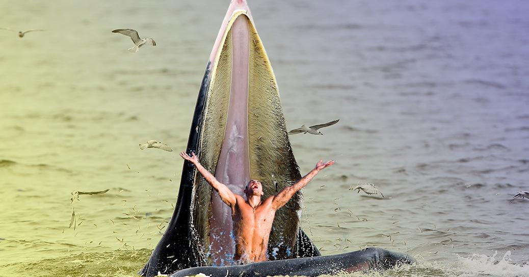奇迹！男子被鲸吃掉，最终逃出生天，他是怎么做到的？