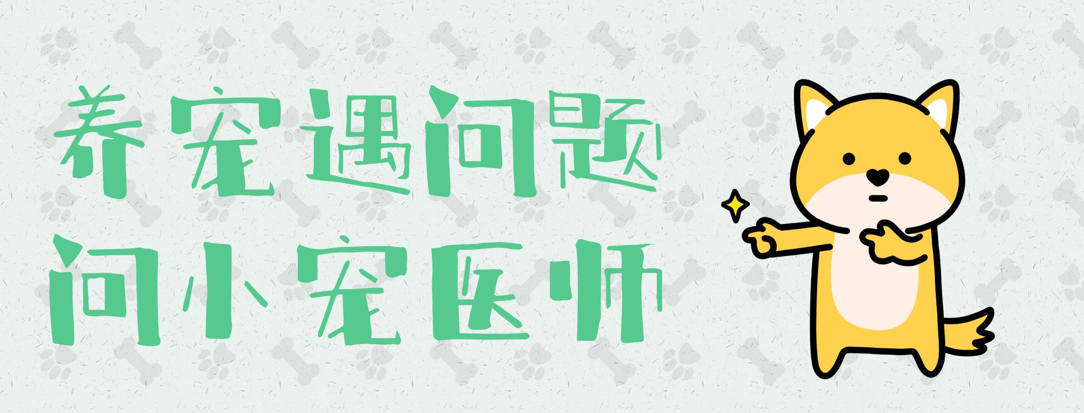 猫狗总是有眼屎，是正常还是生病了？宠物医生教你如何简单判断