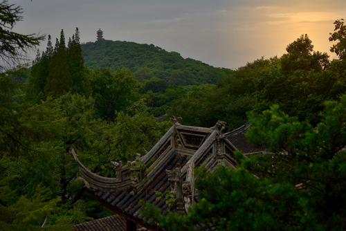 《山海经》蝙蝠,山海经里的蝙蝠