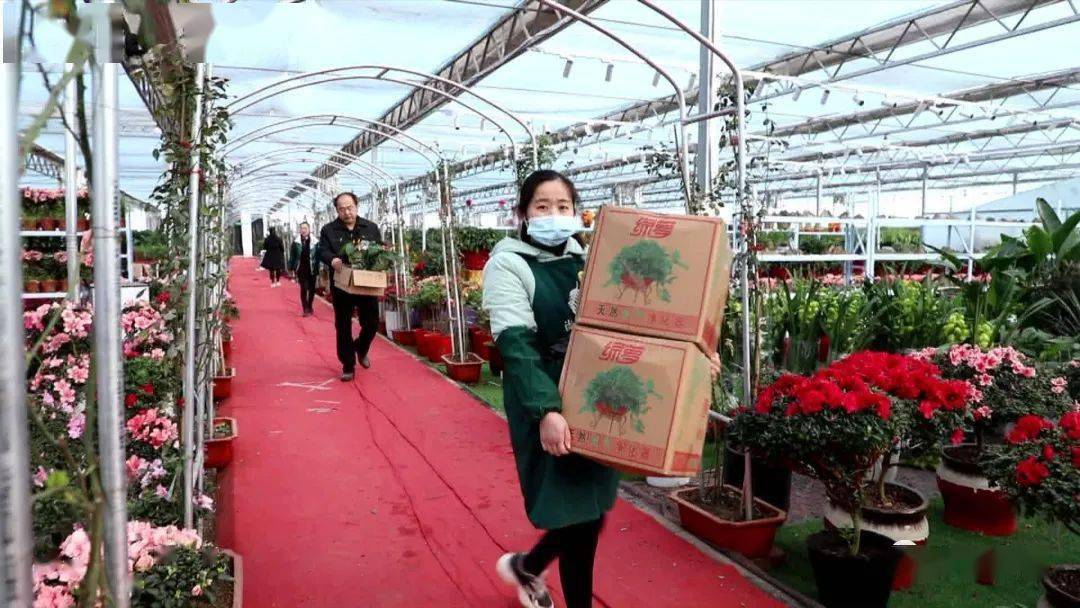 我，50岁，山东女人，老公生意失败欠款1000万，我种花帮他还债