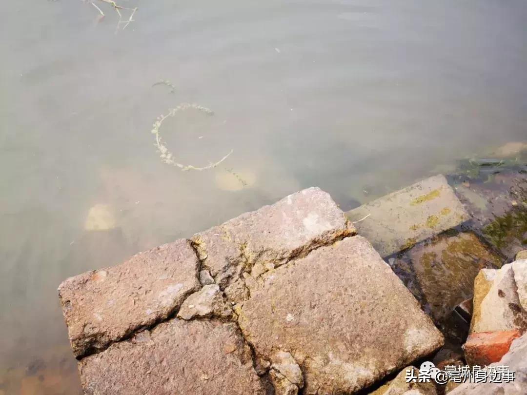 蒙城：一船一家一辈子！他们吃住都在船上