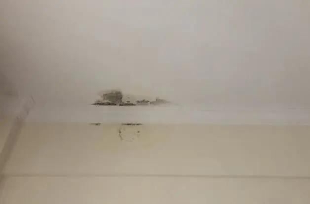 泰安屋顶漏水防水材料厂家,屋顶漏水最好防水材料