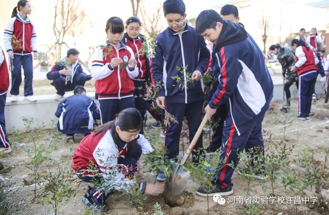 河南省实验学校许昌中学官网,2017许昌实验中学招生