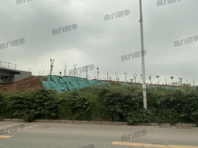 深圳光明究竟有多火？走了一圈才发现，比你想得还夸大