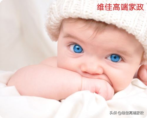蒲公英哺乳,蒲公英合适哺乳期的妈妈吗