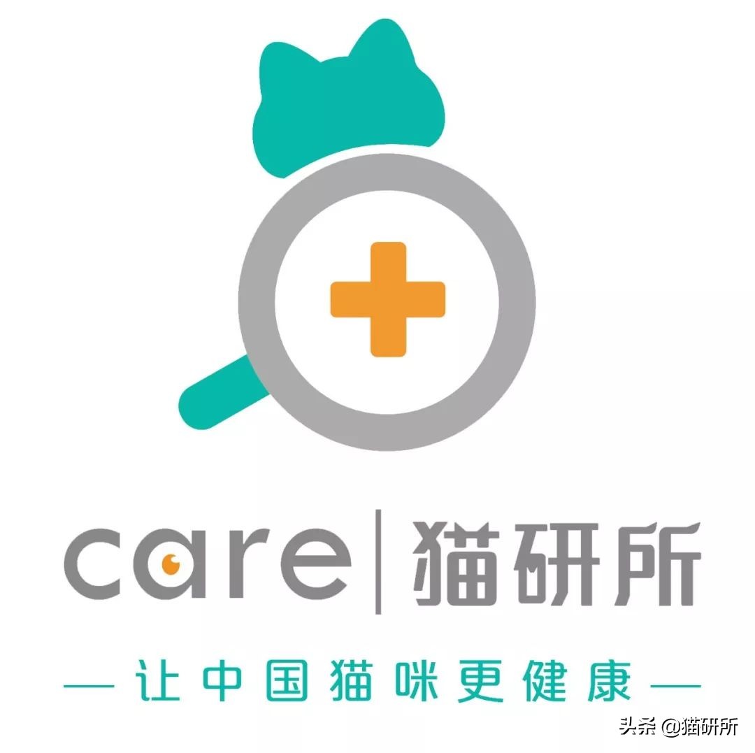 疫情出不去猫咪绝育拆线怎么办,猫咪发情期间能做绝育手术吗