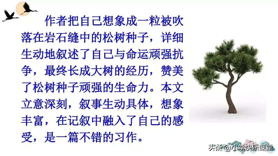 部编版六年级文章变形记范文,部编版六年级上册文章变形记教案