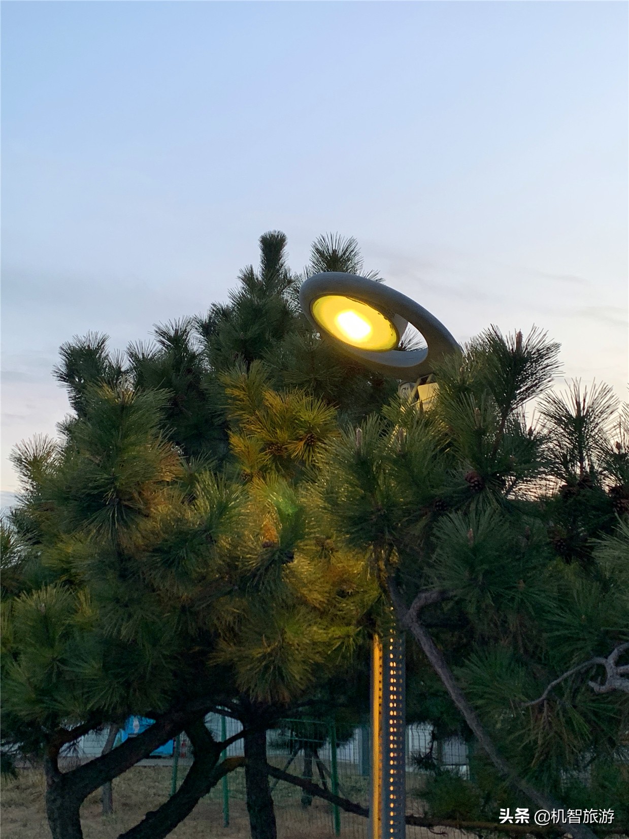 日照渔家乐住宿吃海鲜，想要体验到正宗的渔家生活这份攻略能够看