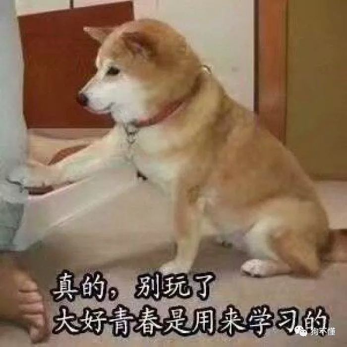 过期临期狗粮回收,临期过期食品能够吃吗