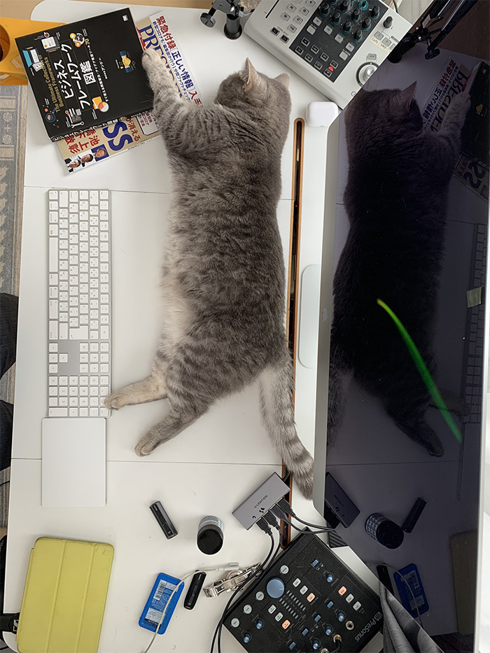 猫咪喜欢上桌子？打扰你的工作？试试这个方法，轻松摆脱它的骚扰