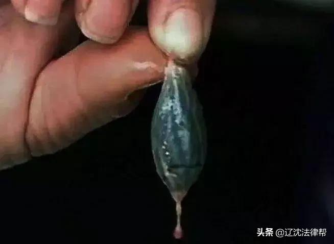 蛇医行家季德胜传奇,旷世神医克林顿