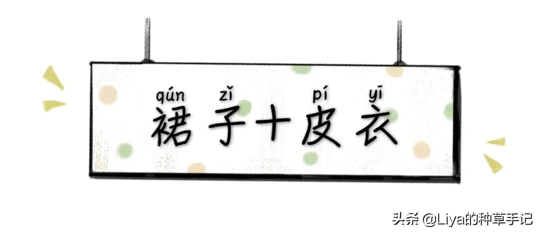 半裙+外套，连衣裙+外套=今春王炸组合