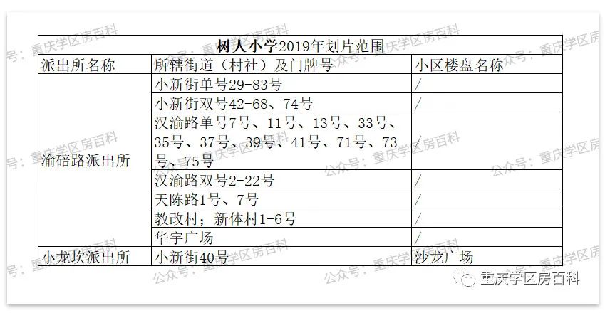 树人小学有初中吗,树人小学总校在哪里