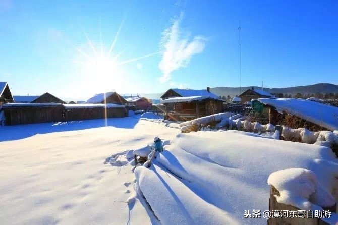 漠河极寒之旅,漠河遇到熊
