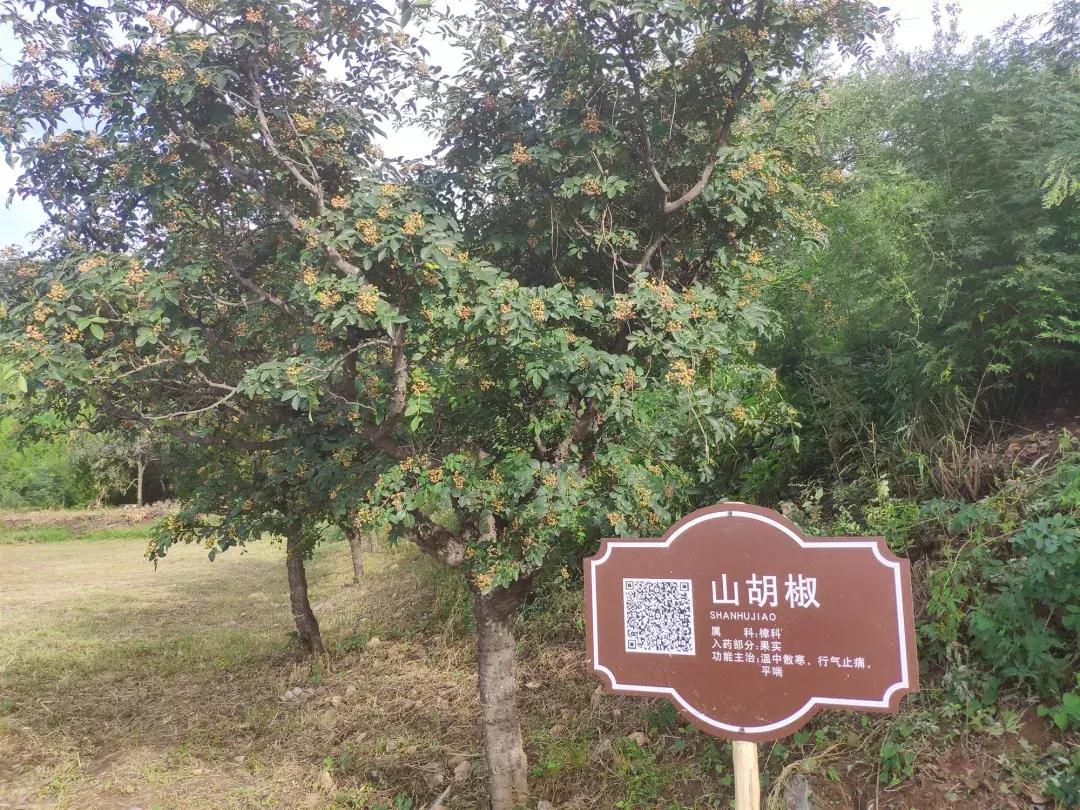 此生一定去要去的地方,此生一定要去这个地方